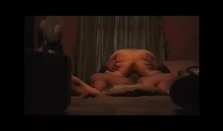 Gato petardas violadas apasionado, pequeños rebeldes