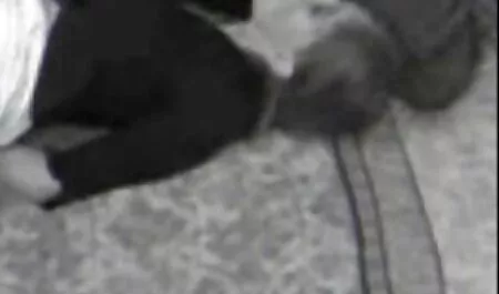 Salas de petardas calle Masaje-Masaje húmedo también hizo clientes y clientes