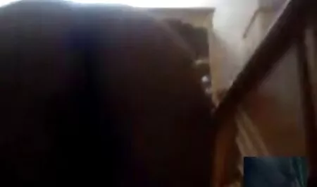 - Fiesta en la calle termina con el Sexo en petardas follando con caballos grupo es caliente en la calle