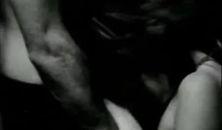 Caballo macho negro para una chica que es muy petardas forzadas gorda