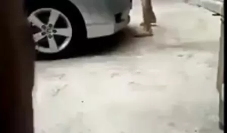 Sexo, petardas en la playa mano de Alisson, al mismo tiempo